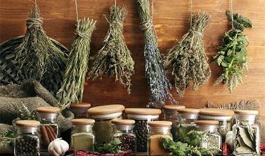 Herbes pour éliminer les parasites du corps