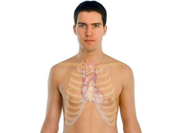 Comment les parasites affectent les organes humains.