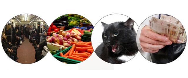 méthodes d'infection parasitaire