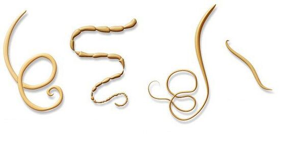 types de parasites dans le corps